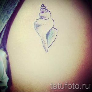 Фото тату ракушка для статьи про значение ракушки в татуировке - tatufoto.ru - 61