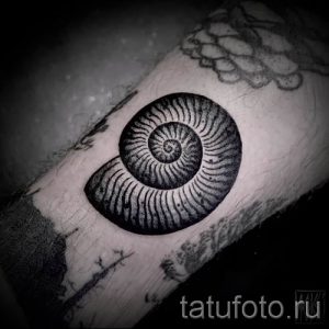 Фото тату ракушка для статьи про значение ракушки в татуировке - tatufoto.ru - 63