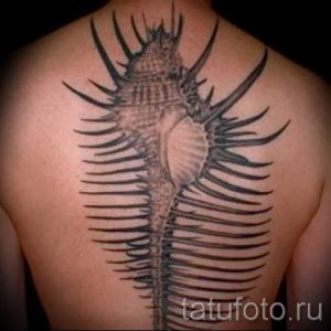 Фото тату ракушка для статьи про значение ракушки в татуировке - tatufoto.ru - 66