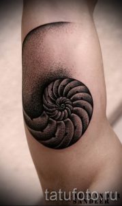 Фото тату ракушка для статьи про значение ракушки в татуировке - tatufoto.ru - 67