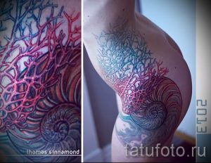 Фото тату ракушка для статьи про значение ракушки в татуировке - tatufoto.ru - 69