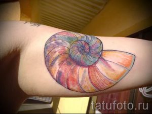 Фото тату ракушка для статьи про значение ракушки в татуировке - tatufoto.ru - 71