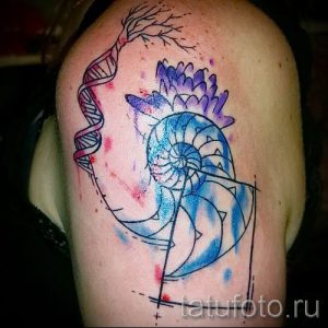 Фото тату ракушка для статьи про значение ракушки в татуировке - tatufoto.ru - 72