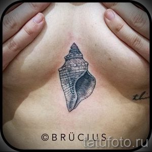 Фото тату ракушка для статьи про значение ракушки в татуировке - tatufoto.ru - 73