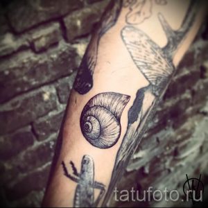 Фото тату ракушка для статьи про значение ракушки в татуировке - tatufoto.ru - 75