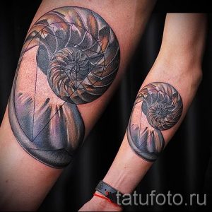 Фото тату ракушка для статьи про значение ракушки в татуировке - tatufoto.ru - 78