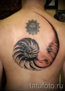 Фото тату ракушка для статьи про значение ракушки в татуировке - tatufoto.ru - 79