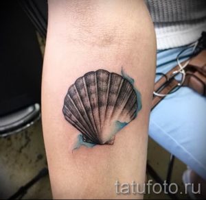 Фото тату ракушка для статьи про значение ракушки в татуировке - tatufoto.ru - 80