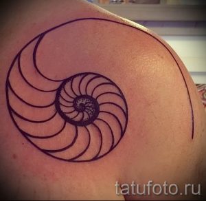 Фото тату спираль для статьи про значение татуировки с этим рисунком - tatufoto.ru - 11