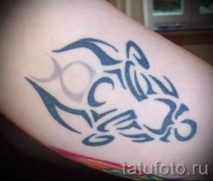 Фото тату телец для статьи про значение татуировки с рисунком телец - tatufoto.ru - 12
