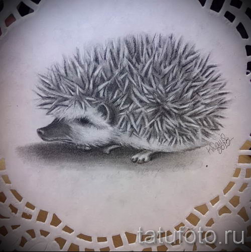 тату ежик фото - примеры для статьи про значение тату еж - tatufoto.ru -2