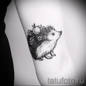 тату ежик фото - примеры для статьи про значение тату еж - tatufoto.ru - 8
