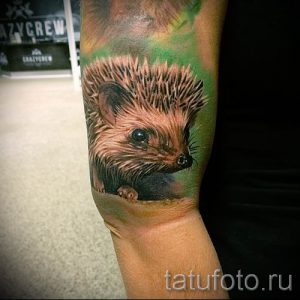 тату ежик фото - примеры для статьи про значение тату еж - tatufoto.ru - 17