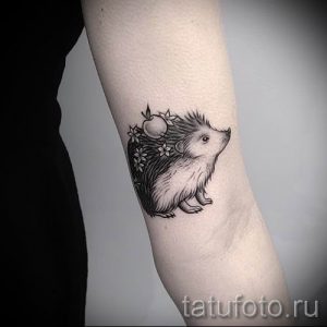 тату ежик фото - примеры для статьи про значение тату еж - tatufoto.ru - 20