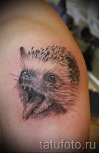 тату ежик фото - примеры для статьи про значение тату еж - tatufoto.ru - 21