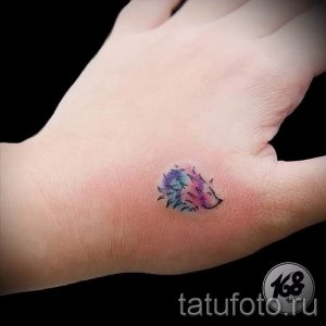 тату ежик фото - примеры для статьи про значение тату еж - tatufoto.ru - 33