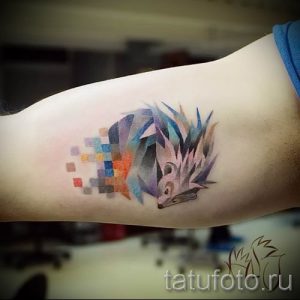 тату ежик фото - примеры для статьи про значение тату еж - tatufoto.ru - 34