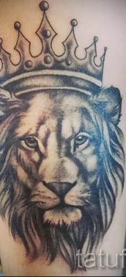 тату лев с короной — фото для статьи про значение татуировки  — tatufoto.ru — 35