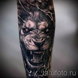 тату лев с короной - фото для статьи про значение татуировки - tatufoto.ru - 43
