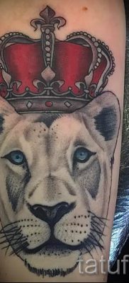 тату лев с короной — фото для статьи про значение татуировки  — tatufoto.ru — 71