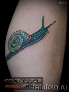тату улитка фото - пример тату для статьи про значение татуировки - tatufoto.ru - 4