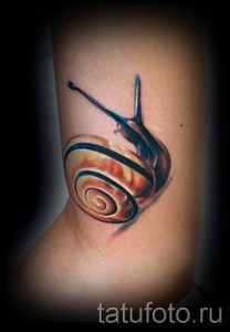тату улитка фото - пример тату для статьи про значение татуировки - tatufoto.ru - 9