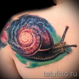 тату улитка фото - пример тату для статьи про значение татуировки - tatufoto.ru - 10