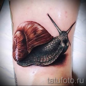 тату улитка фото - пример тату для статьи про значение татуировки - tatufoto.ru - 12