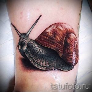 тату улитка фото - пример тату для статьи про значение татуировки - tatufoto.ru - 15
