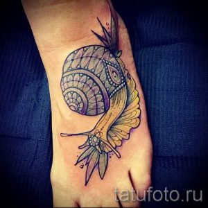 тату улитка фото - пример тату для статьи про значение татуировки - tatufoto.ru - 17