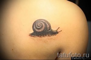 тату улитка фото - пример тату для статьи про значение татуировки - tatufoto.ru - 22