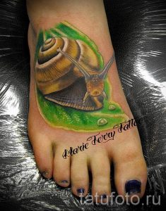 тату улитка фото - пример тату для статьи про значение татуировки - tatufoto.ru - 23