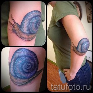 тату улитка фото - пример тату для статьи про значение татуировки - tatufoto.ru - 28