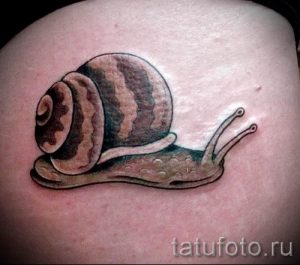 тату улитка фото - пример тату для статьи про значение татуировки - tatufoto.ru - 29