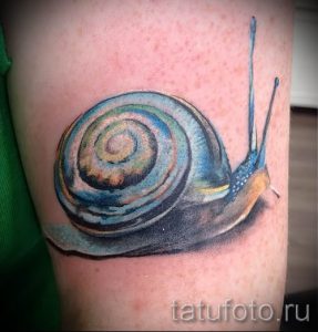 тату улитка фото - пример тату для статьи про значение татуировки - tatufoto.ru - 30