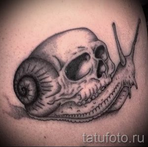 тату улитка фото - пример тату для статьи про значение татуировки - tatufoto.ru - 33