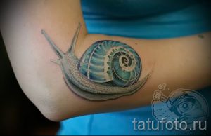 тату улитка фото - пример тату для статьи про значение татуировки - tatufoto.ru - 50