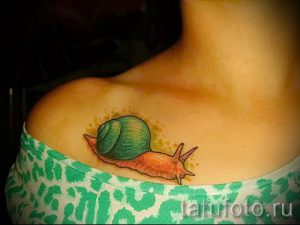 тату улитка фото - пример тату для статьи про значение татуировки - tatufoto.ru - 52