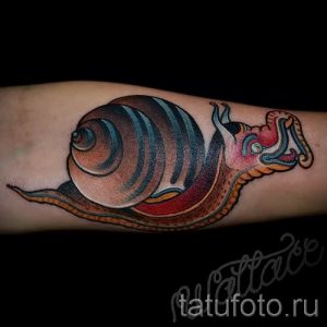 тату улитка фото - пример тату для статьи про значение татуировки - tatufoto.ru - 54