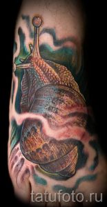 тату улитка фото - пример тату для статьи про значение татуировки - tatufoto.ru - 57