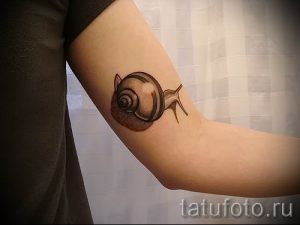 тату улитка фото - пример тату для статьи про значение татуировки - tatufoto.ru - 58