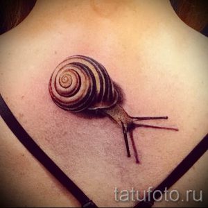 тату улитка фото - пример тату для статьи про значение татуировки - tatufoto.ru - 61