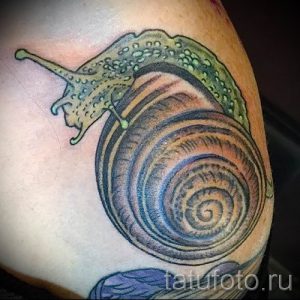 тату улитка фото - пример тату для статьи про значение татуировки - tatufoto.ru - 66