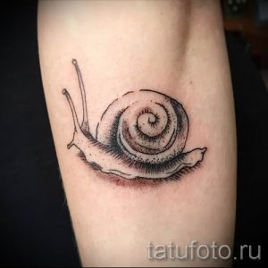 тату улитка фото - пример тату для статьи про значение татуировки - tatufoto.ru - 67