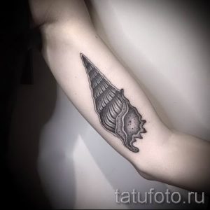 тату улитка фото - пример тату для статьи про значение татуировки - tatufoto.ru - 68