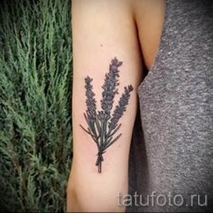 фото пример тату лаванда для статьи про значение этой татуировки 2
