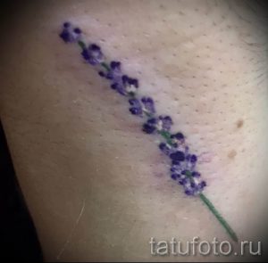 фото пример тату лаванда для статьи про значение этой татуировки 5