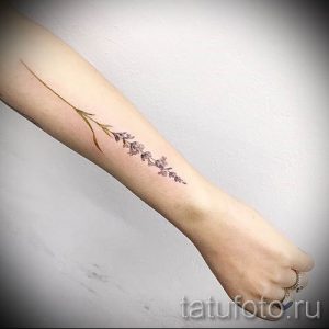фото пример тату лаванда для статьи про значение этой татуировки 12