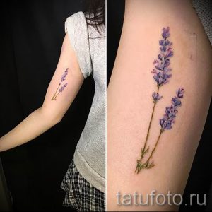 фото пример тату лаванда для статьи про значение этой татуировки 14