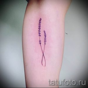 фото пример тату лаванда для статьи про значение этой татуировки 15